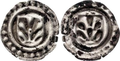 20241011-00002.jpg