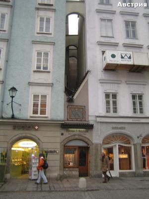IMG_2766.jpg