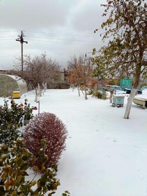 IMG_20241013_151513_328.jpg