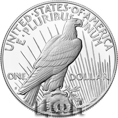 Peace Silver Dollar  Proof Coin.jpg