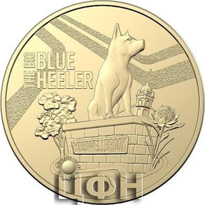 1 австралийский доллар «Большой синий хилер» 2023 года.jpg