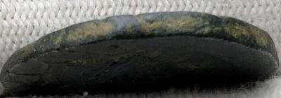 IMG_7862.jpeg