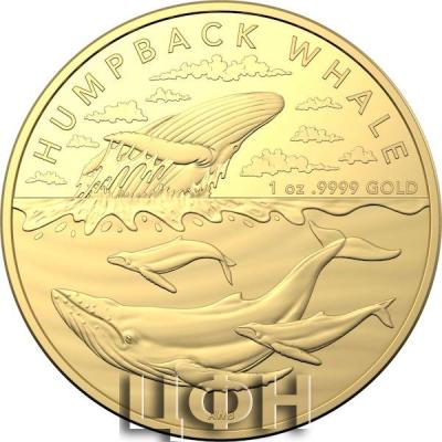100 Dollars 2023 AUSTRALIA Humpback Whale.jpg