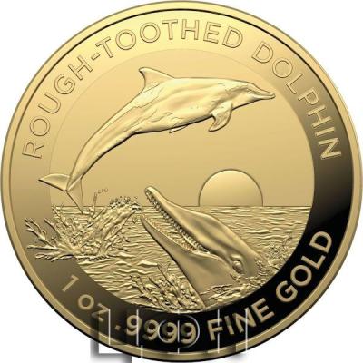100 Dollars 2023 AUSTRALIA Rough-Toothed Dolphin.jpg