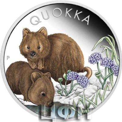 1 Dollar  Quokka; Coloured Silver Proof.jpg