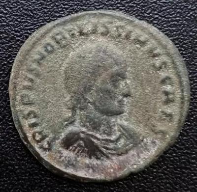 14_crispus.thumb.jpg.23d0012b67aa49a8c0d5a731d3f77baf.jpg