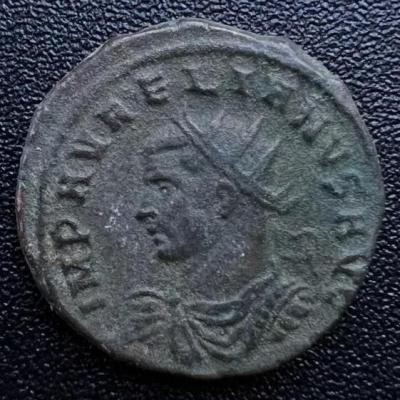 1_aurelian.thumb.jpg.1295849cbde9ada229770c01e549b83f.jpg