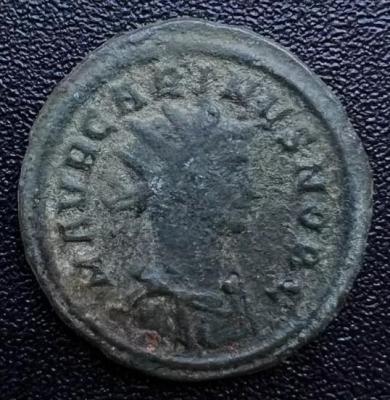6_avrelianus.thumb.jpg.43f1bd83ffb3dd467cfa7f8f3ffe4794.jpg