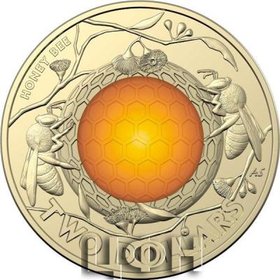 Two Dollars 2023 Honey Bee (Orange).jpg