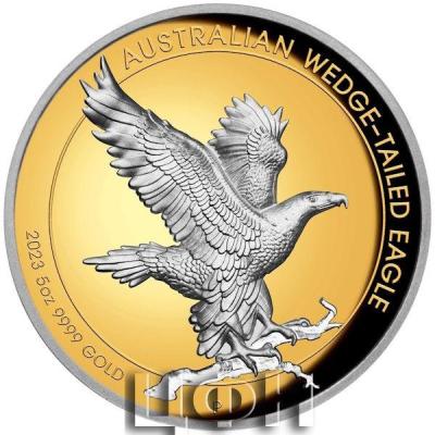500 Dollars 2023 AUSTRALIAN WEDGE-TAILED EAGLE.jpg