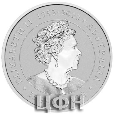 15 Dollars 2023.jpg