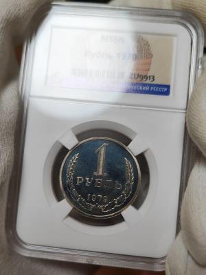 2024-11-04 14.29.52.jpg