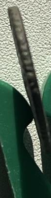 IMG_2823.jpeg