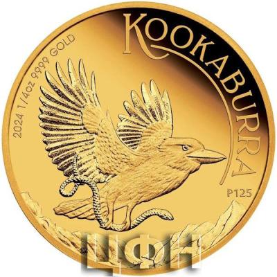 2024 Gold CHARLES III AUSTRALIA · 25 DOLLARS Kookaburra.jpg