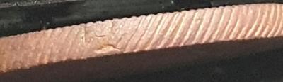 20241110_164943.jpg