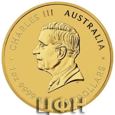 2024 1oz Gold Bullion Coin Perth Mint Australian.JPG