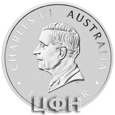 2024 1oz Silver Bullion Coin Perth Mint Australian.jpg