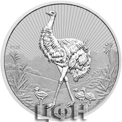 2024 Next Generation - Australian Emu.jpg