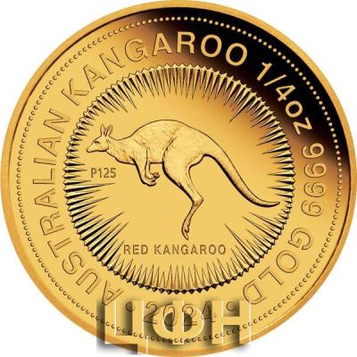 25 DOLLARS 2024 AUSTRALIAN KANGAROO.jpg
