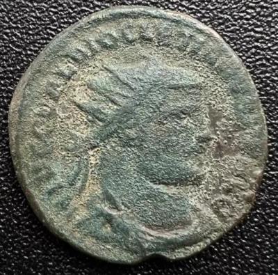 3_diocletianus.thumb.jpg.c1a3930505415aea074fab3e3b5e8e07.jpg