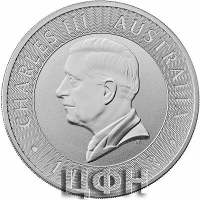 Silver Ounce 2024.jpg