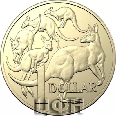 1 DOLLAR AlBr.jpg