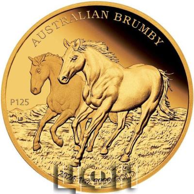 AUSTRALIAN BRUMBY 2024 1oz 9999 GOLD.jpg