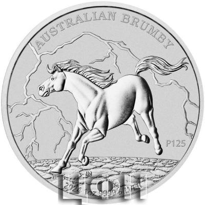 AUSTRALIAN BRUMBY 2024 1oz 9999 SILVER.jpg