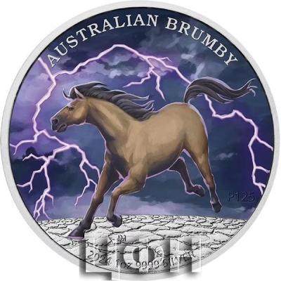 AUSTRALIAN BRUMBY 2024 1oz 9999 SILVER Coloured Reverse.jpg