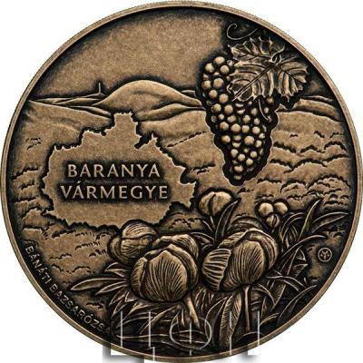 2024 Baranya county, Pécs  base metal collector coin (patinated)  – Hungarian counties and county seats series (2nd piece).jpg