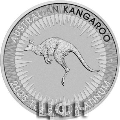 CHARLES III AUSTRALIA · 100 DOLLARS · KANGAROO.jpg