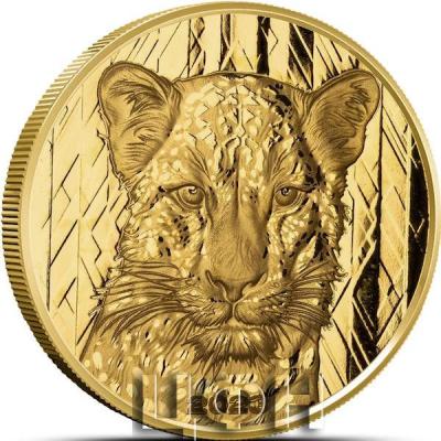 2023 1 oz Ghana Leopard Gold Coin (Proof).jpg