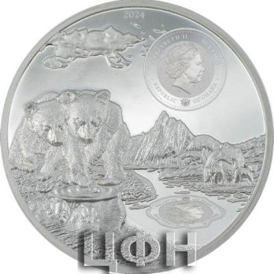 50 Cedis Brown Bear (2).jpg