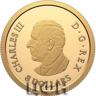 2025 CANADA 8 DOLLARS Water Dragon .jpg