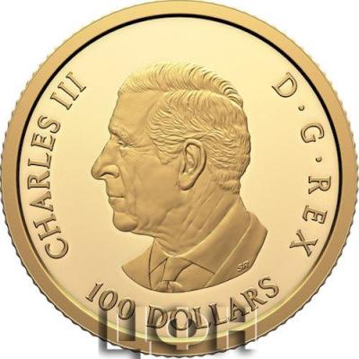 2025 CANADA 100 DOLLARS.jpg