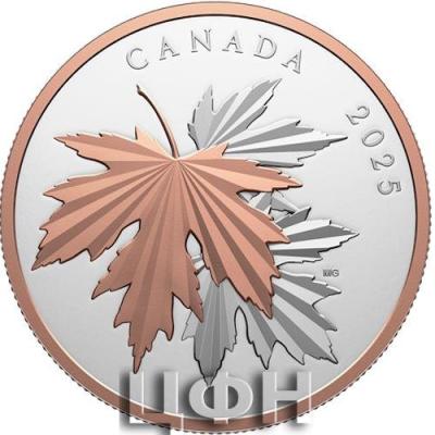 2025 CANADA 10 DOLLARS Gleaming Maple Leaves.jpg