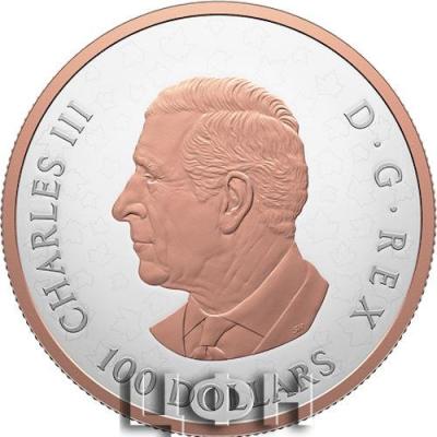 2025 CANADA 10 DOLLARS Gleaming Maple Leaves .jpg