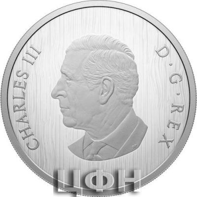 2025 CANADA 50 DOLLARS.jpg