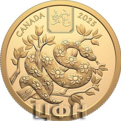 Lunar Year of the Snake - Pure Gold Coin (2025).jpg