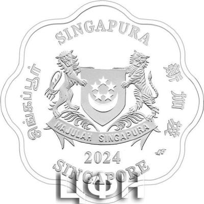 2024 Year of the Dragon 1 troy oz 999 Fine Silver Proof Colour Coin (2).jpg