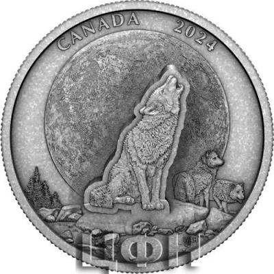 30 Dollars - Charles III The Howling Wolf(2).jpg