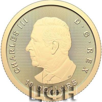 Canada 10 Dollars Charles III.jpg