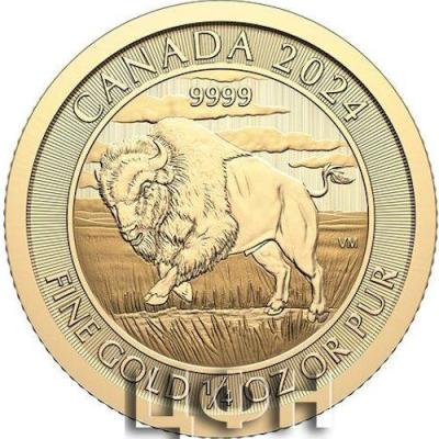 Canada 10 Dollars Charles III bison 2024.jpg