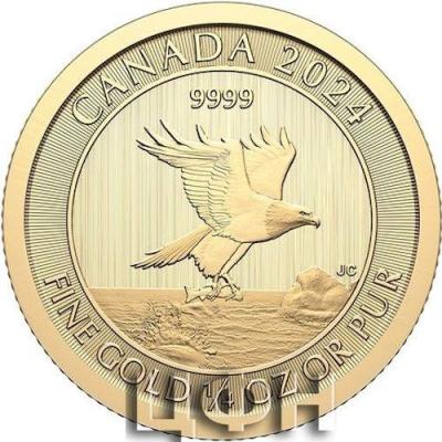 Canada 10 Dollars Charles III eagle 2024.jpg