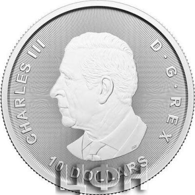 Canada 10 Dollars Charles III silver.jpg