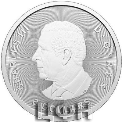 Canada 8 Dollars Charles III silver.jpg