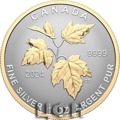 Maple Leaf 2024 Reverse Proof Silver 5-Coin Set.jpg