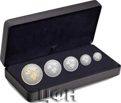 Maple Leaf 2024 Reverse Proof Silver 5-Coin Set.jpg