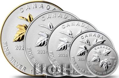 Maple Leaf 2024 Reverse Proof Silver 5-Coin Set (2).jpg