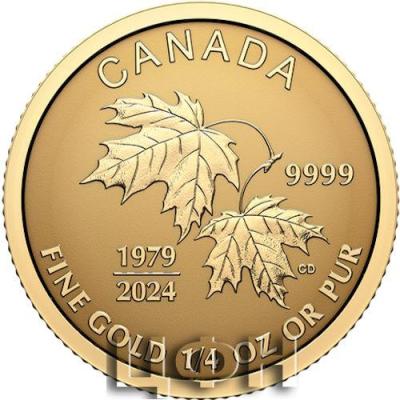 Pure Gold Fractional Set (2024) .jpg